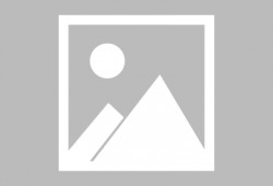 网红吃瓜打架视频播放,一场网络狂欢背后的争议与反思